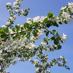 Фотография от Галина Сокоренко (Пантюхина)