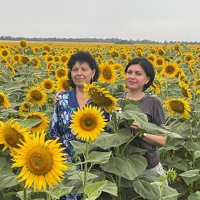 Фотография от Татьяна Василенко Коршунова