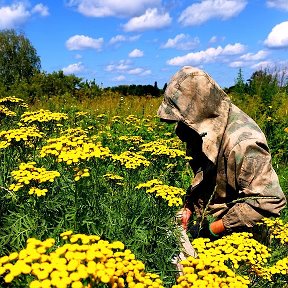 Фотография от 🌿Константин Травник🌿