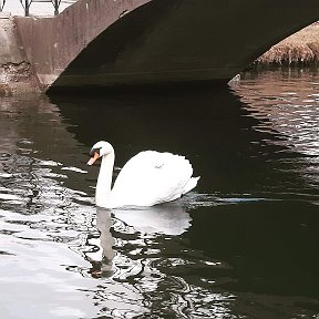 Фотография от марлен эмиров