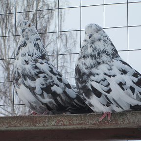 Фотография от Юрий Щетинин