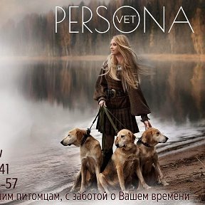 Фотография от PERSONA VET