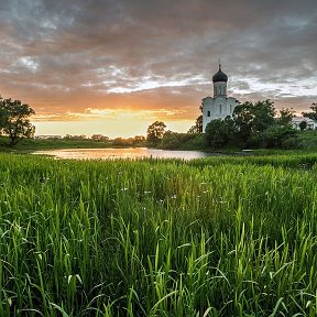 Фотография от Лариса Мищенко (Любезная)