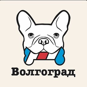 Фотография от 89023626911 Барбос Волгоград