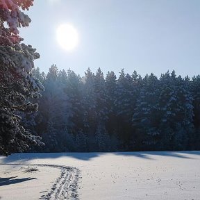 Фотография от Иван Янковский