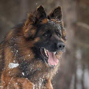 Фотография от ИРИНА НИКИТЕНКО