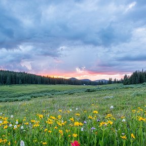 Фотография от Иван Кац