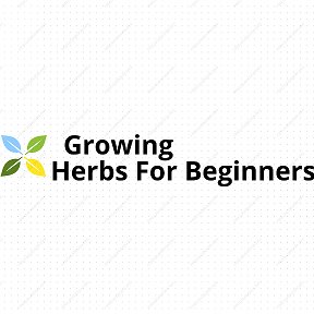 Фотография от Growing Herbs For Beginners