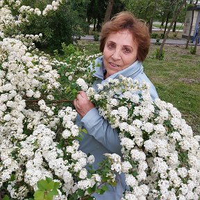 Фотография от Надежда Данилова-(Салогубова)