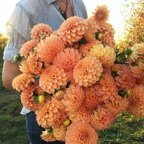 Фотография от Алена Бочкарёва