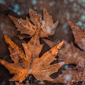 Фотография от Анна Васильева