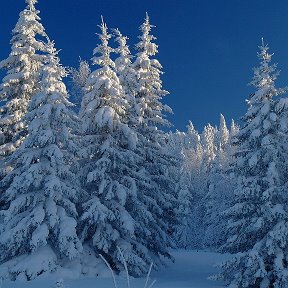 Фотография от Ирина Альхова