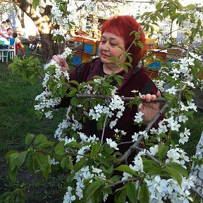 Фотография "На шашлыках .Цветет черешня ."