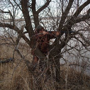 Фотография от Евгений Викторович