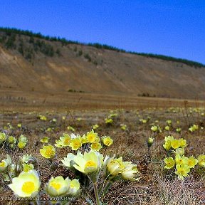 Фотография от Ирина Гилязова(Хасанова)