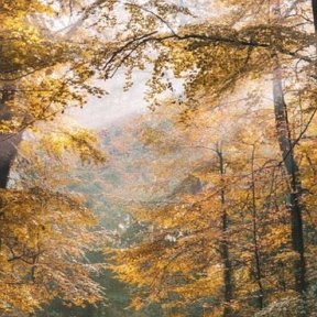 Фотография от Şahin Şahin