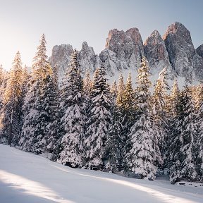 Фотография от Галина Старкова