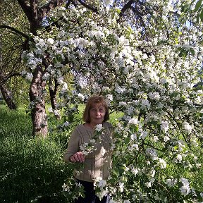 Фотография от Лидия Головенчик(Фокина)