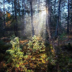 Фотография от Татьяна Люсина