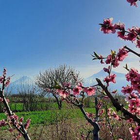 Фотография от Елена К