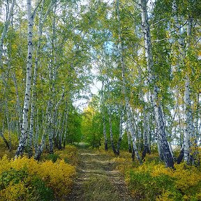 Фотография от рустам Шишков