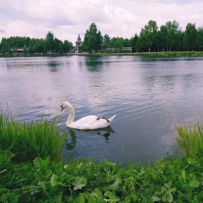 Фотография от Васима Аминова