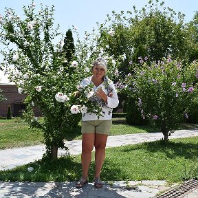 Фотография от Лариса Борзенкова-Шацких