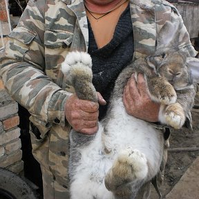 Фотография от Сергей Батраков