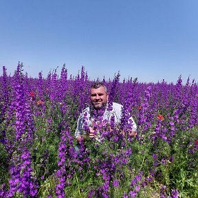 Фотография от Александр Яковлев