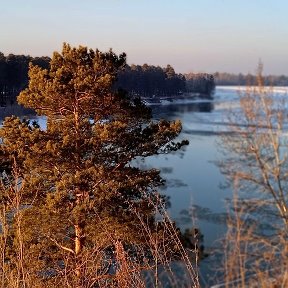 Фотография от Алёна Жучкова (Огородникова)