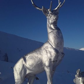 Фотография от Александр Шевелёв