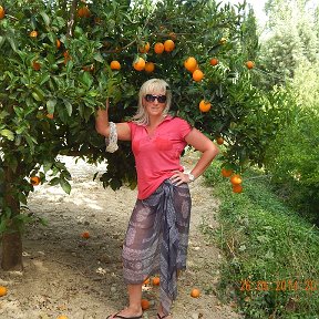 Фотография "В апельсиновом саду"