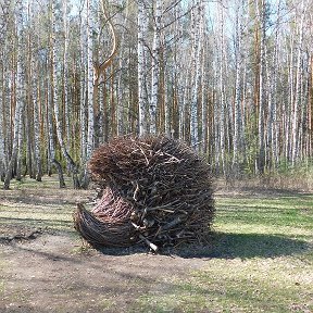 Фотография от Барзова Галина