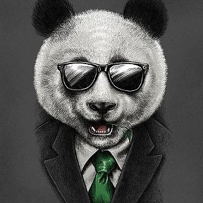 Фотография от Panda 🐼