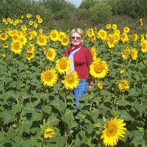 Фотография от Раиса Сазонцева