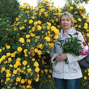 Фотография от Наталия Гаврилюк