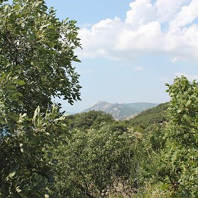 Фотография "Краснодарский край"