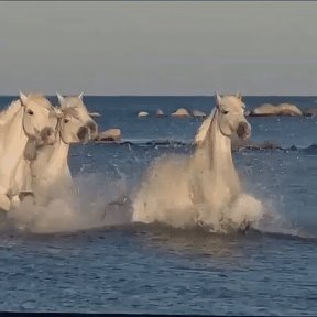 Фотография от Лариса Рыжова