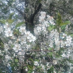 Фотография от Наталья Абрамова