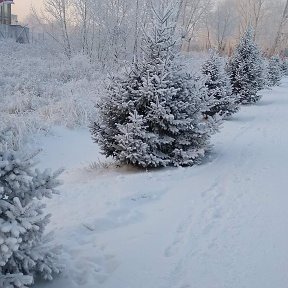 Фотография от Александр Зарубин