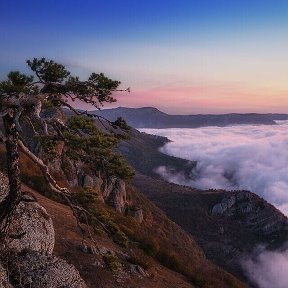 Фотография от Лидия Татаренкова(Маляр)