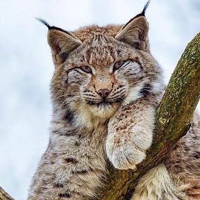 Фотография от Сергей Сергей