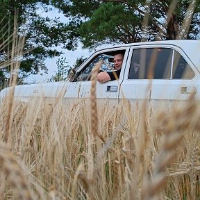 Фотография от Сергей Сидельников