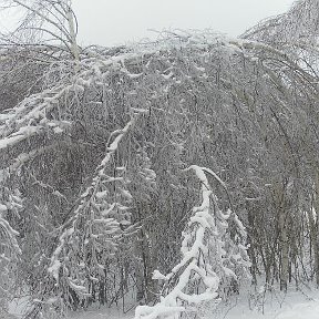 Фотография от никита исаков