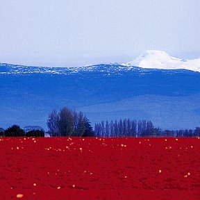 Фотография от Роман Морозов