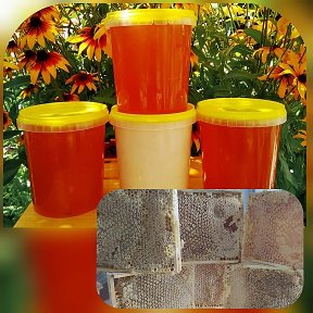 Фотография от Мёд и пчело - продукты с личной пасеки