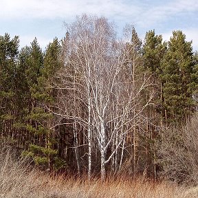 Фотография от Евгений Глазунов