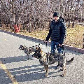 Фотография от толя лукин