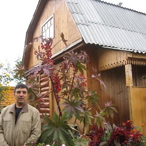 Фотография "Я на даче у дяди, г. Казань сентябрь 2007 г."
