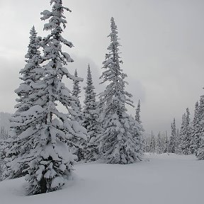 Фотография от Наталья Овсянникова